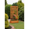 Rankkasten mit Pergola Holz honigbraun 102 x 200 x 64,5 cm