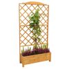 Rankkasten 'Botanica'  Holz honigbraun 110 x 210 x 32 cm