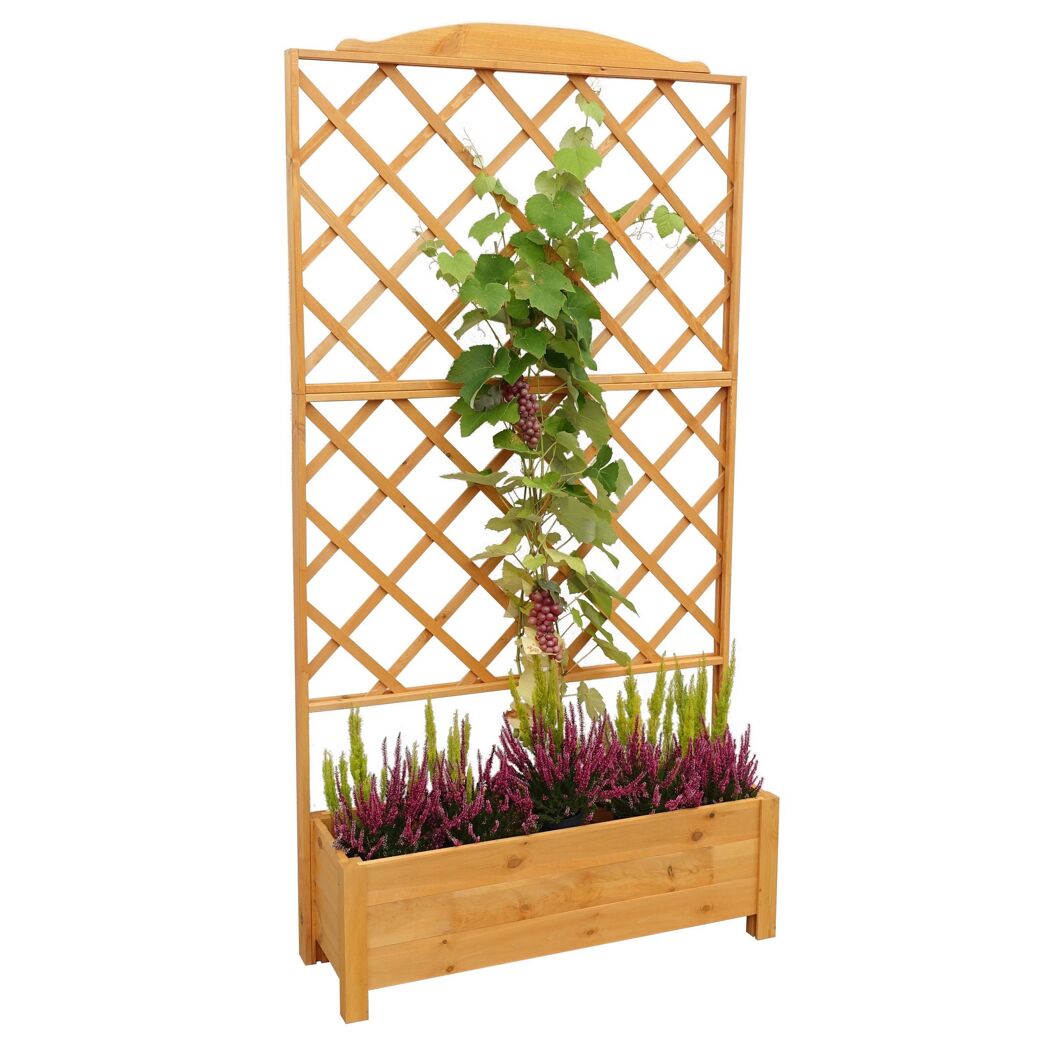Rankkasten 'Botanica'  Holz honigbraun 110 x 210 x 32 cm