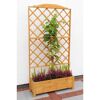 Rankkasten 'Botanica'  Holz honigbraun 110 x 210 x 32 cm
