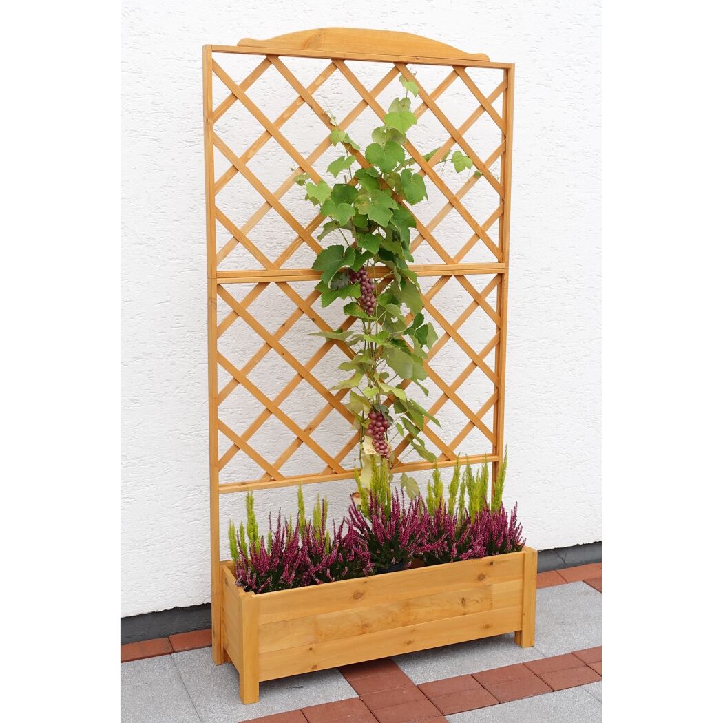 Rankkasten 'Botanica'  Holz honigbraun 110 x 210 x 32 cm