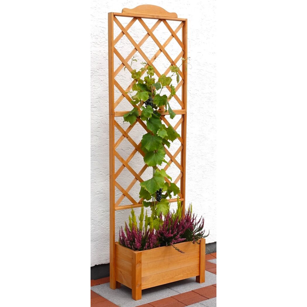 Rankkasten 'Botanica'  Holz honigbraun 69 x 210 x 32 cm