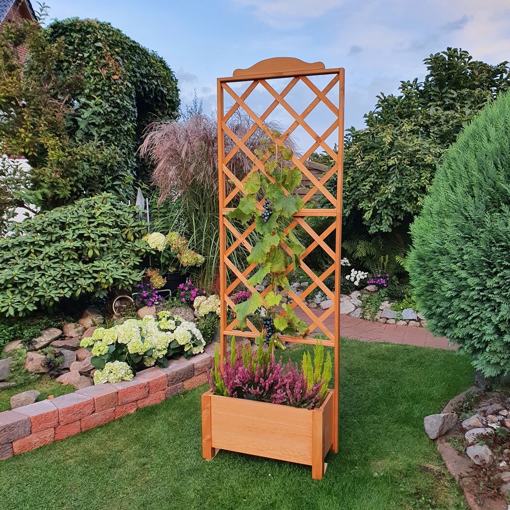 Rankkasten 'Botanica'  Holz honigbraun 69 x 210 x 32 cm