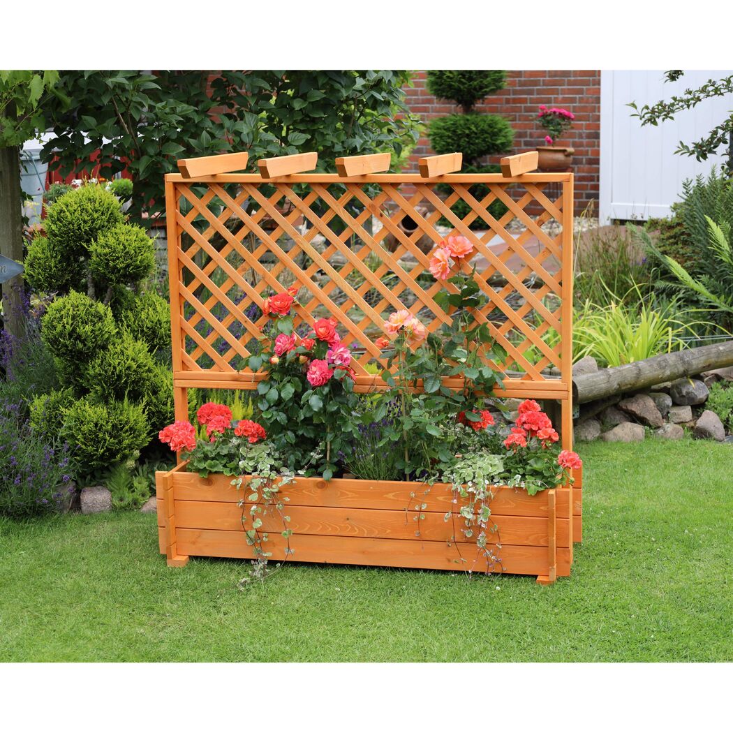 Rankkasten mit Pergola Holz honigbraun 140 x 140 x 64,5 cm