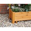 Rankkasten 'Romantica'  Holz honigbraun 80 x 210 x 38 cm
