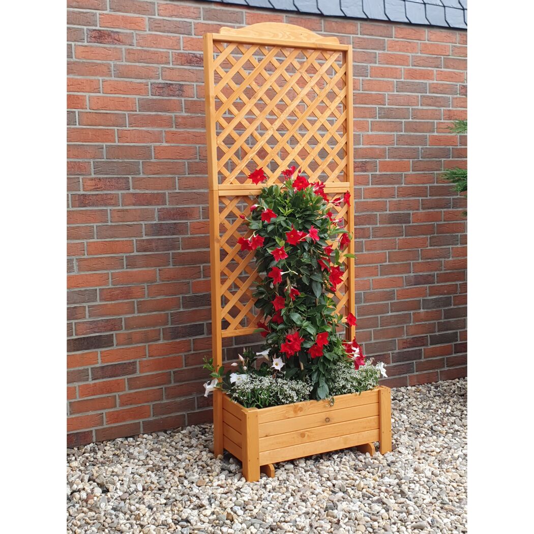 Rankkasten 'Romantica'  Holz honigbraun 80 x 210 x 38 cm