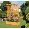 Rankkasten mit Pergola Holz honigbraun 140 x 200 x 64,5 cm