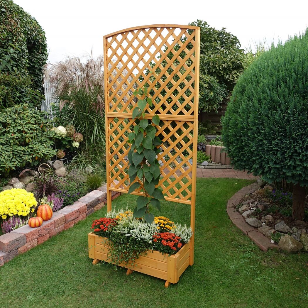 Rankkasten 'Flora'  Holz honigbraun 91 x 205 x 41 cm