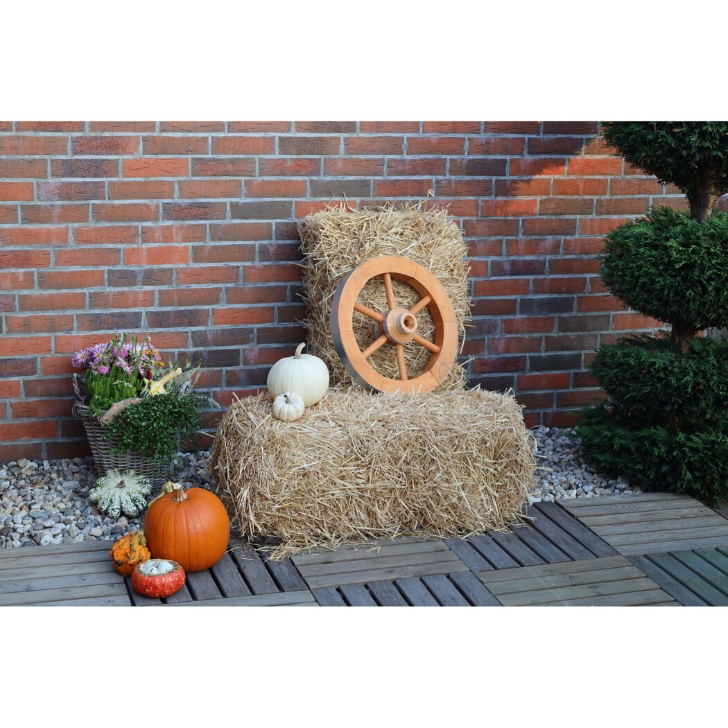 Holzrad Kiefernholz honigbraun Ø 50 x 14 cm