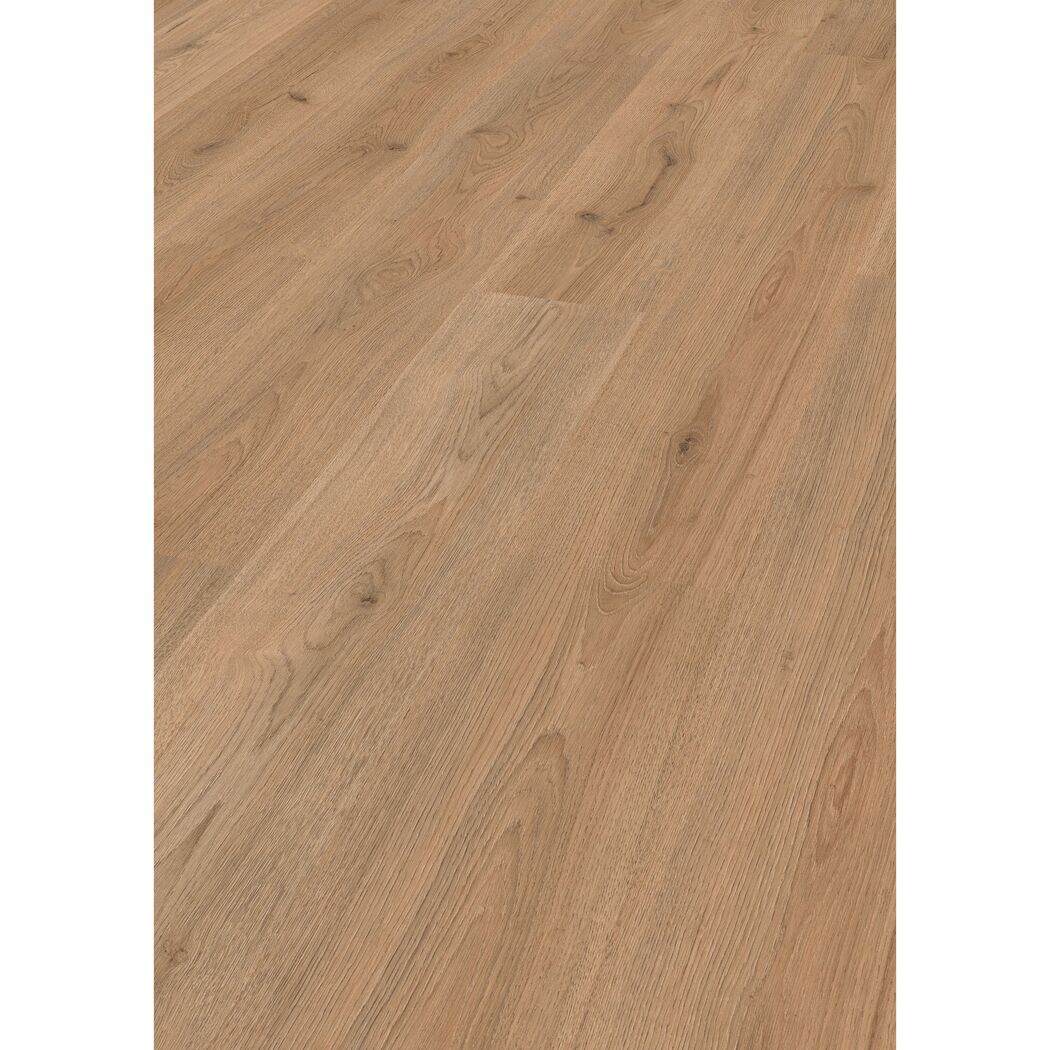 Laminat 'Trend Oak' Eiche Braun 8 mm