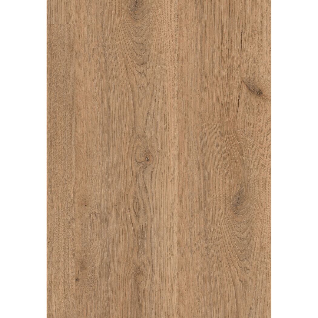 Laminat 'Trend Oak' Eiche Braun 8 mm
