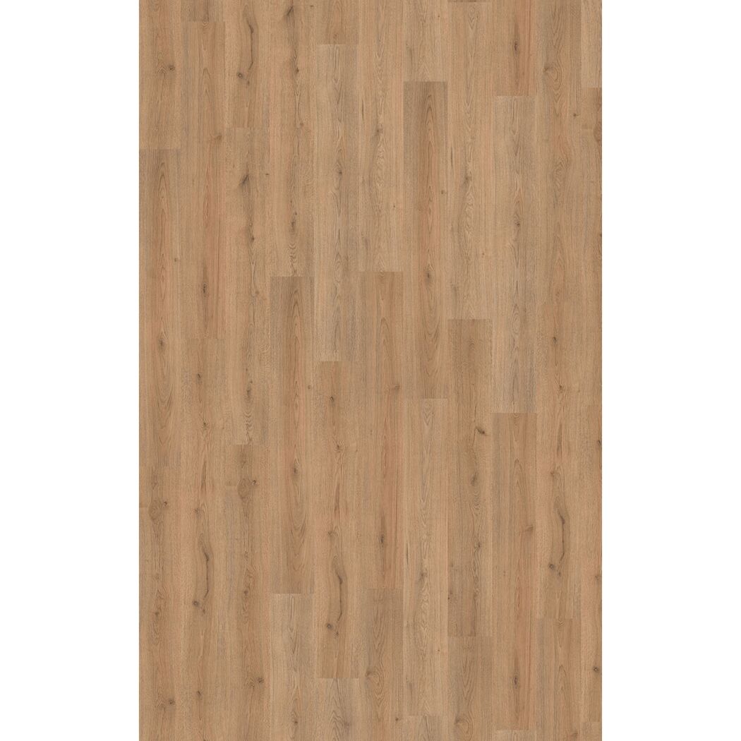 Laminat 'Trend Oak' Eiche Braun 8 mm