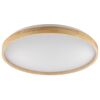 LED-Panel 'Alson' dimmbar 17 W 3540 lm Ø 49,5 cm
