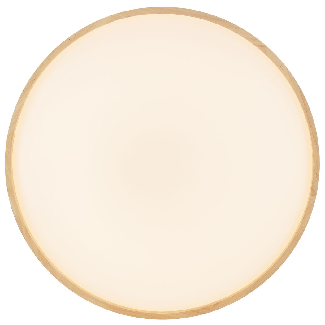 LED-Panel 'Alson' dimmbar 17 W 3540 lm Ø 49,5 cm