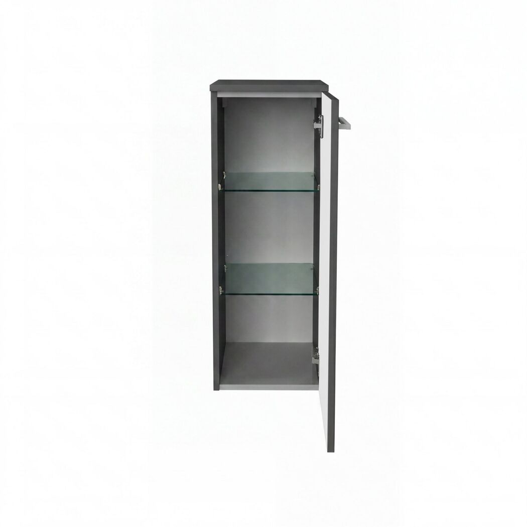 Midischrank 'B.Round' graphit glänzend 30,2 x 82,6 x 32 cm