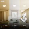 Einbauleuchtenset 'Raynolt' 3,5 W 450 lm neutralweiß Ø 6,8 cm 3 Stück
