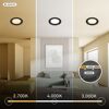 Einbauleuchtenset 'Raynolt' 3,5 W 450 lm neutralweiß Ø 6,8 cm 3 Stück