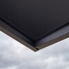 Vordach 'Sophia Side Wall 2150' grau 215 x 96 cm