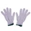 Universal Handschuhe Größe L 10 Stück