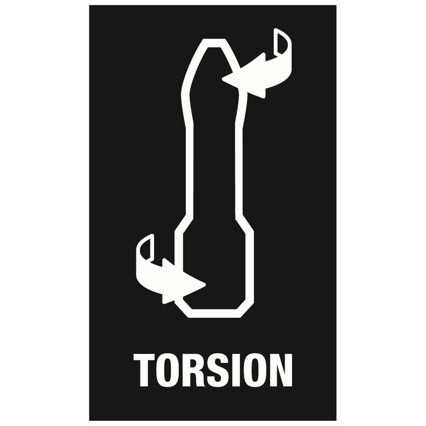Torsion