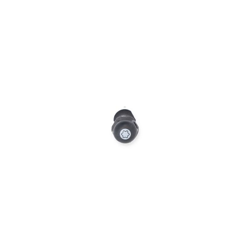 Griff eines Schraubendrehers TX20