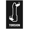 Torsion
