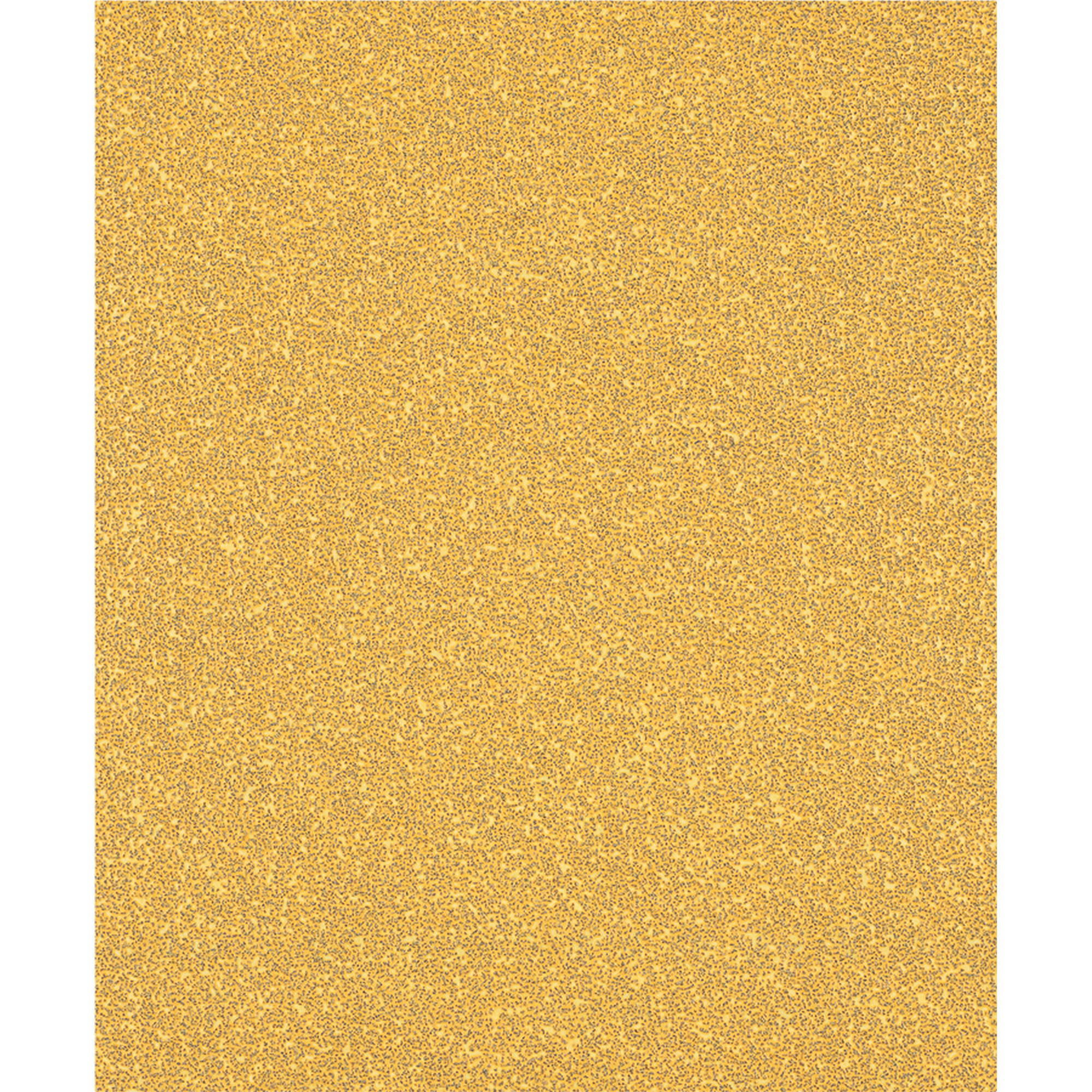 Handschleifpapier 'Expert C470' für Holz 230 x 280 mm, K 40