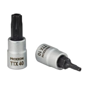 Torx-Einsatz 1/4" T 8
