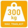 Transportwagen Stahl 300 kg 87 x 61 cm