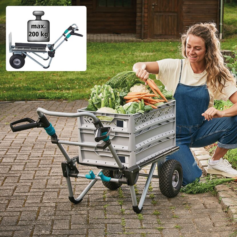 Person transportiert Gemüse im Garten mit Transportkarre