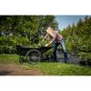 Person hebt Pflanze in Schubkarre