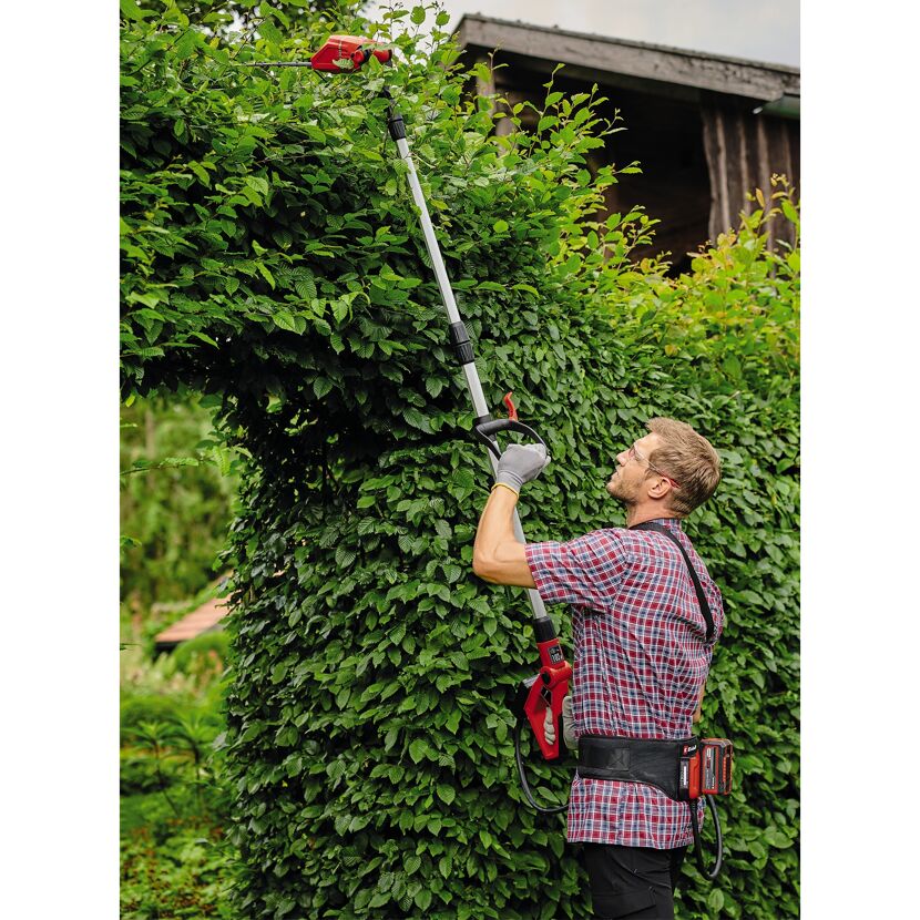 Person schneidet Hecke mit Akku-Heckenschere
