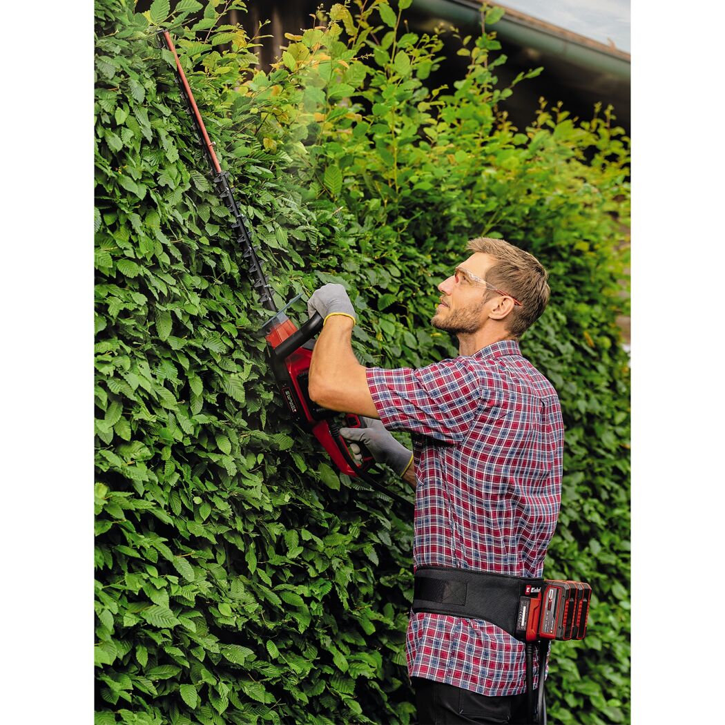 Person schneidet Hecke mit Heckenschere