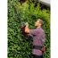Person schneidet Hecke mit Heckenschere