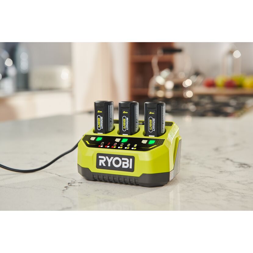 RYOBI Akku-Ladegerät mit drei Akkus