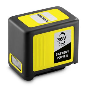 Ersatzakku 'Battery Power 36/50' 36 V 5 Ah