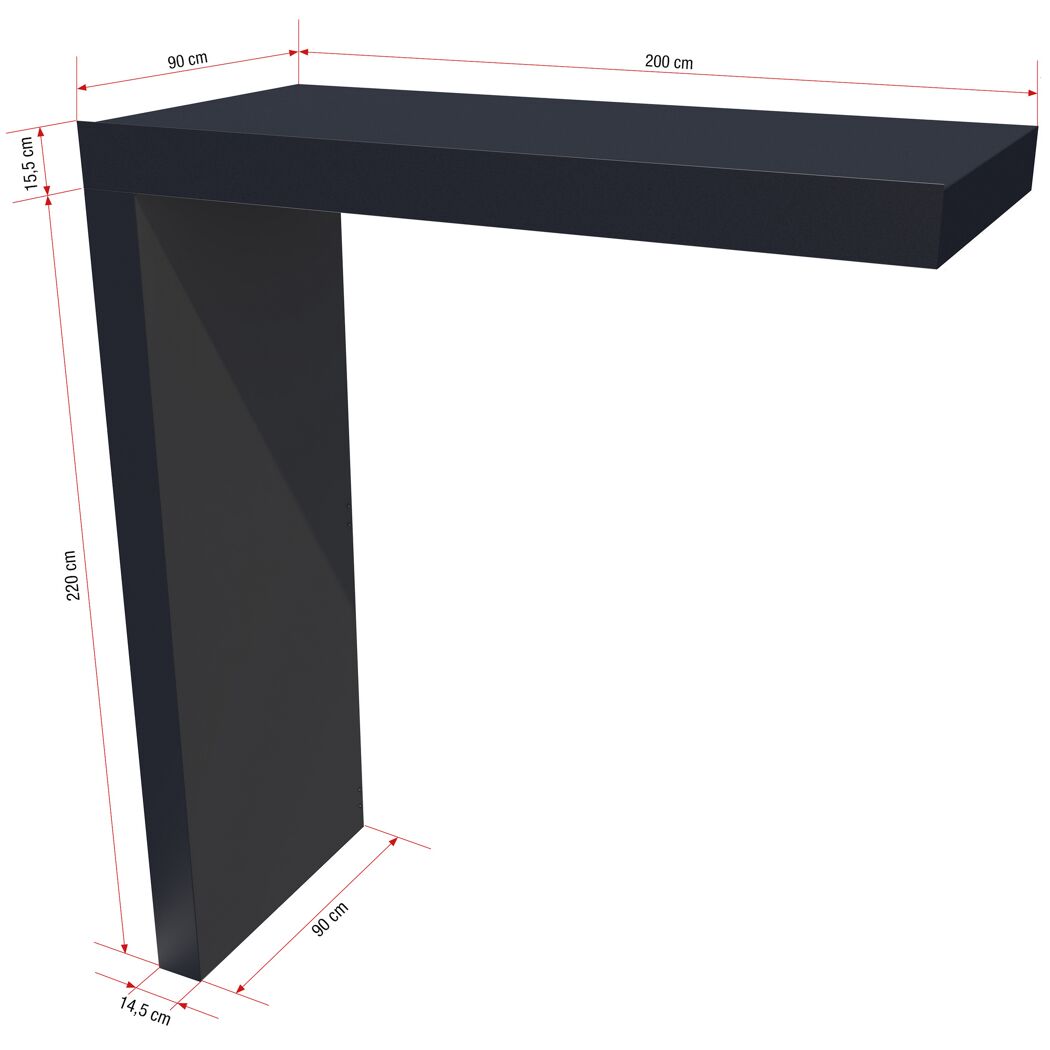 Rechteckvordach 'BS' anthrazit 200 x 90 x 14,5 cm mit Seitenteil