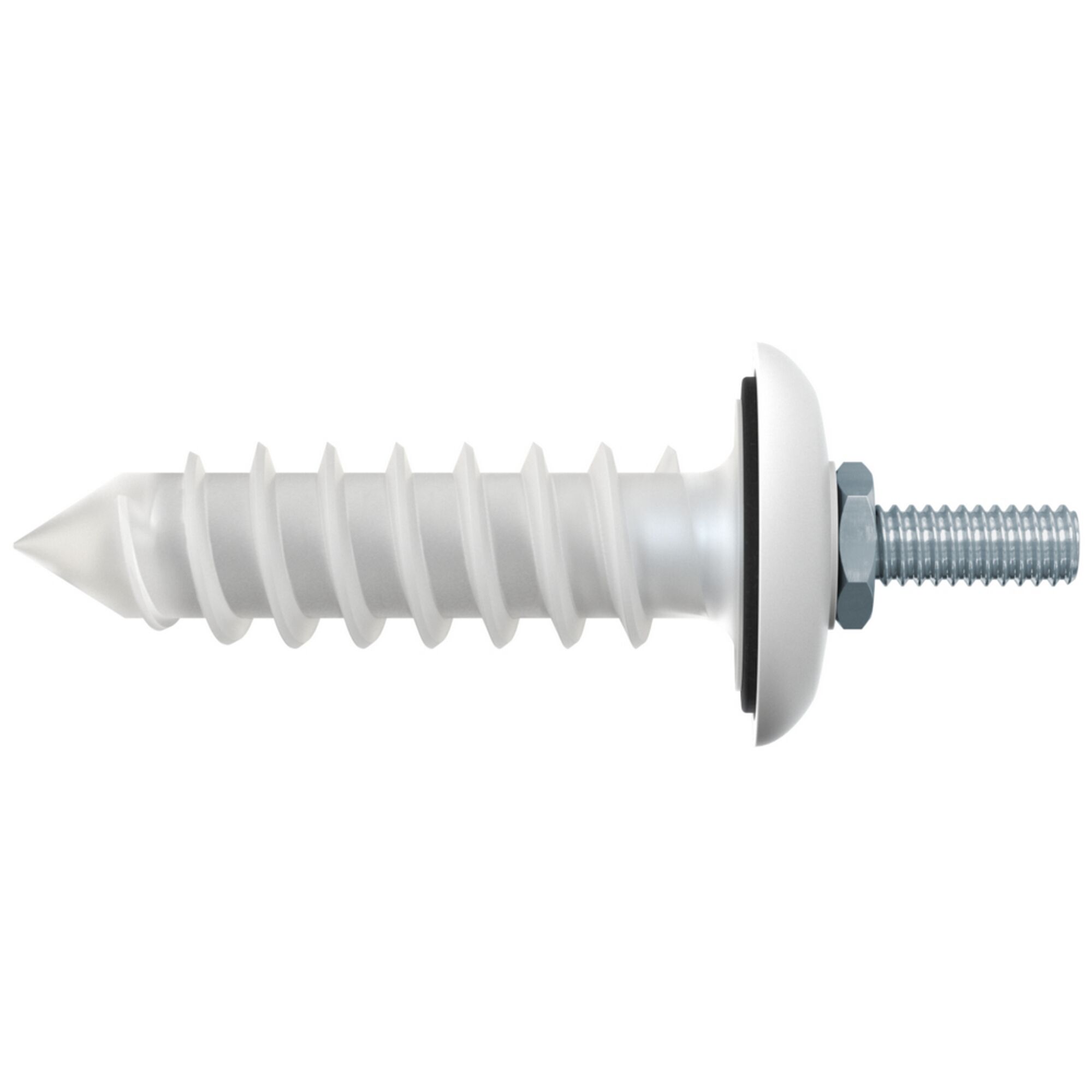 Weiße Schraube mit Dübel