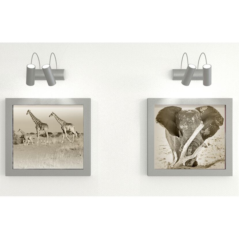 Zwei gerahmte Schwarz-Weiß-Fotos von einer Giraffenfamilie und einem Elefanten.
