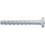 Betonschraube FBS II 6x60/5 P E
