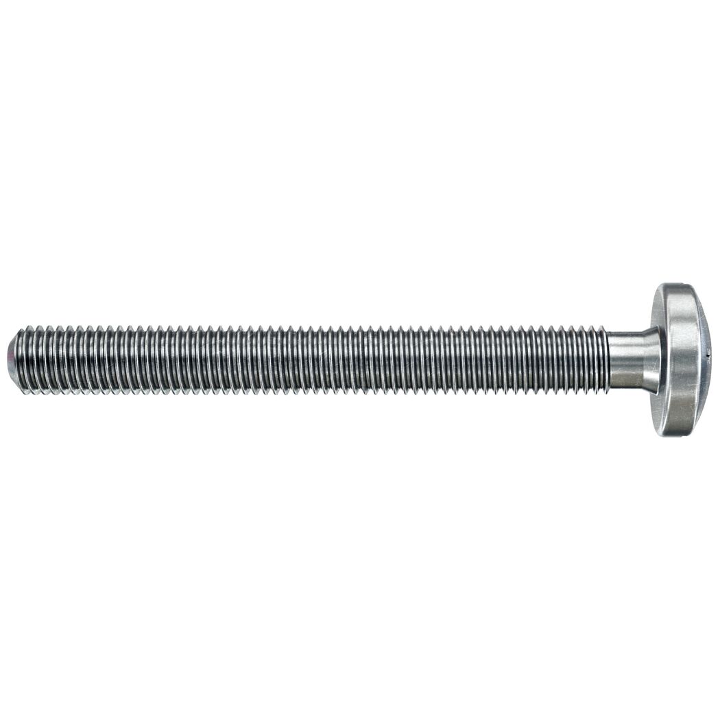 Lange Schraube mit Torx-Kopf