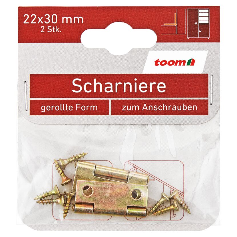 Scharniere Stahl verzinkt 22 x 30 mm 2 Stück