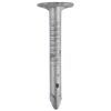 Dachpappnagel 2 x 20 mm