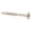 Holzschrauben T25 Torx Edelstahl 6,0 x 50 mm 6 Stück