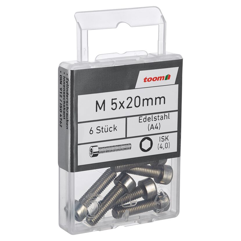 Zylinderschrauben ISK 4,0 Edelstahl M5 x 20 mm 6 Stück