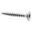 Holzschrauben T10 Torx Edelstahl 3,0 x 20 mm 50 Stück