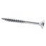Holzschrauben T20 Torx Edelstahl 4,0 x 40 mm 50 Stück