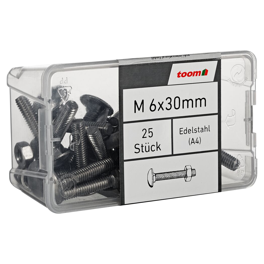 Schlossschrauben Edelstahl M6 x 30 mm 25 Stück