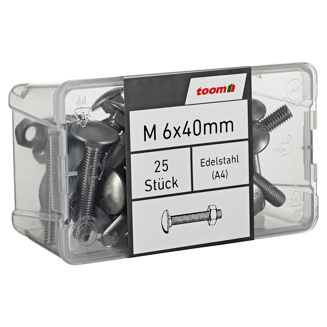 Schlossschrauben Edelstahl M6 x 40 mm 25 Stück