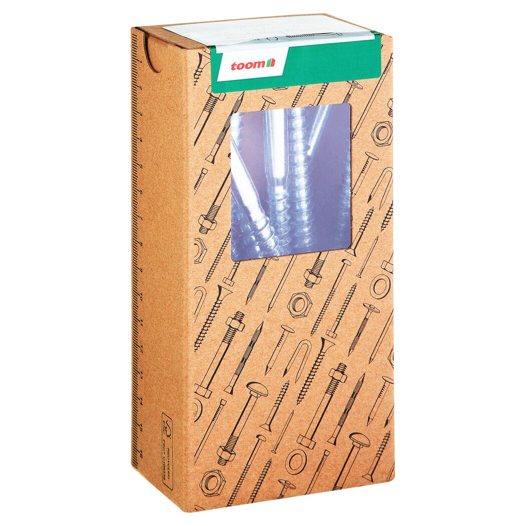 Schlüsselschrauben Ø 10,0 x 160 mm verzinkt DIN 571 10 Stück